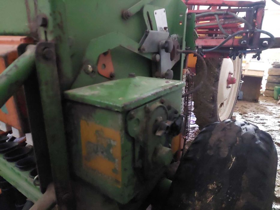 Semanatoare paioase Amazone