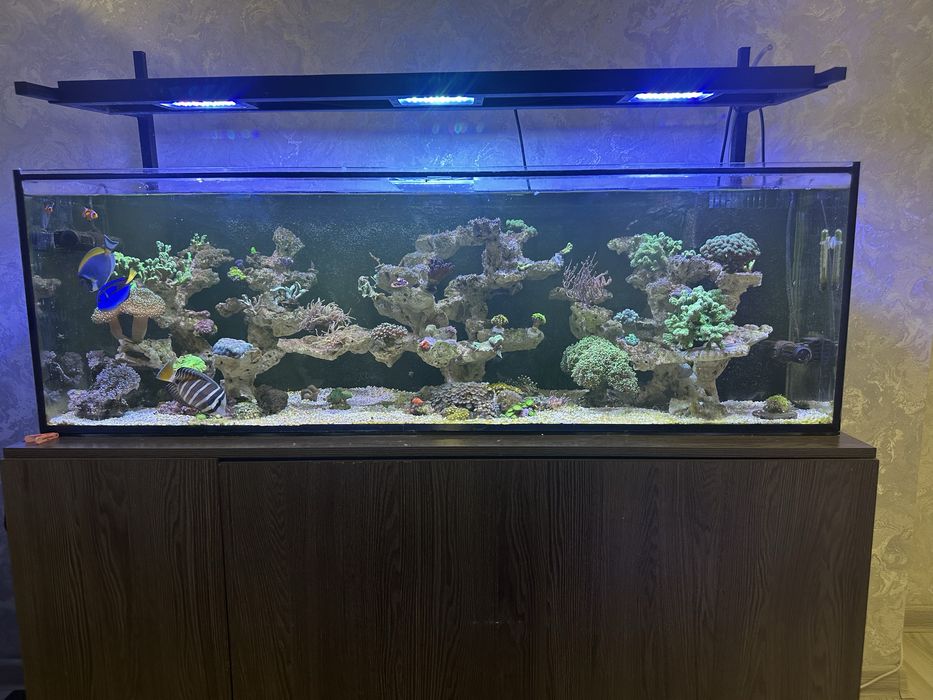 Морской аквариум