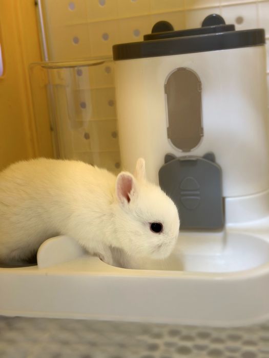 Mehr ko‘rgan bola mehr beradi