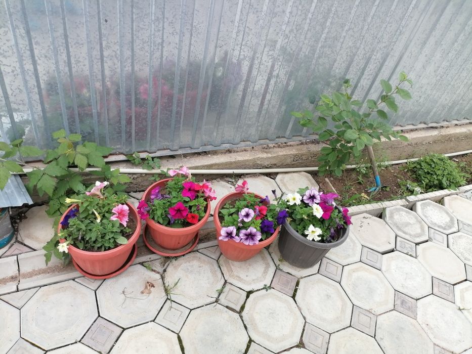 дом 110кв Каскелен ул Бұлақты 29