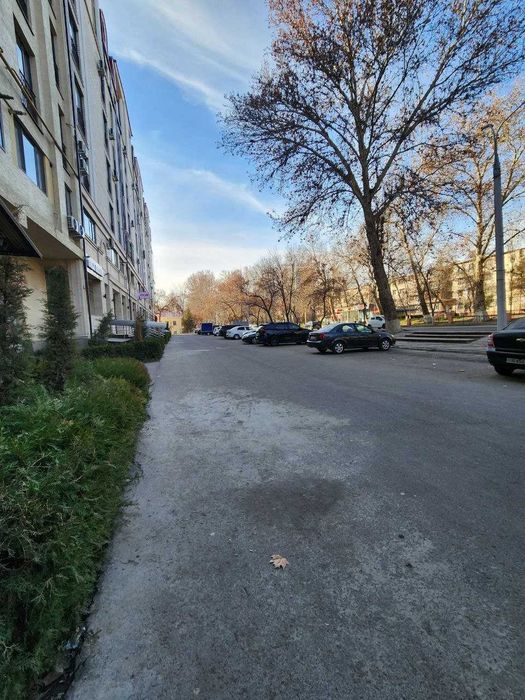 Сдаётся в аренду подвальное собственное помещение