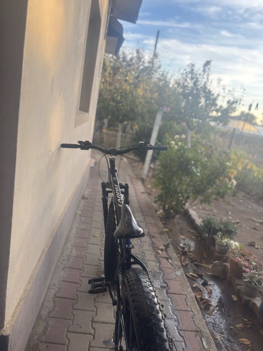 Vand bicicleta cu roti groase carpat