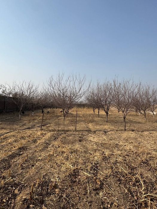 Uy qurib yashashga 8-10sotik uchastka