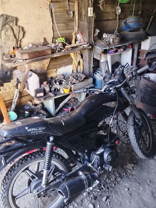 продам альфу Рейсер