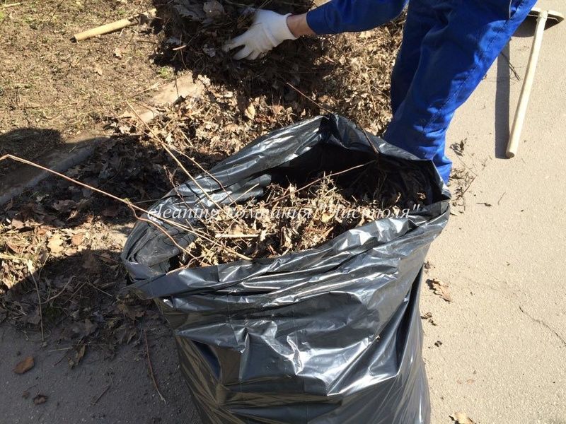 Уборка тиритории визде