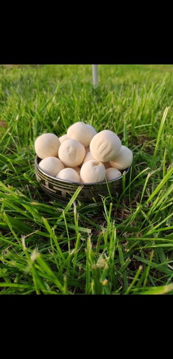 Курт оптом,  ірімшік рафаэло