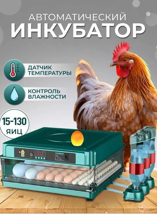 Inkubator 15 talik