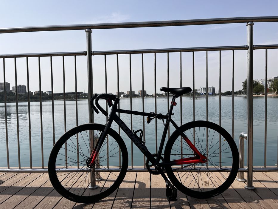 Fixead gear ( modric)