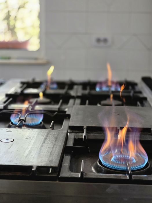 Aragaz profesional zanussi 8 ochiuri 2 cuptoare evo900