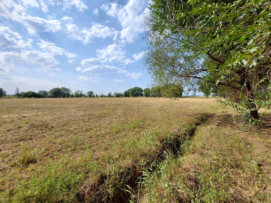 Сдается в аренду 2.2 га участок