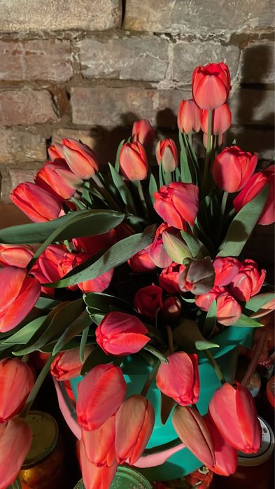 Тюльпаны с огорода