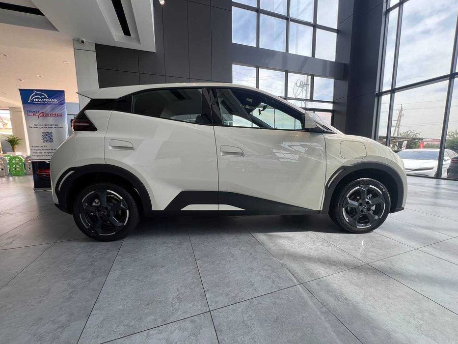 BYD SEAGULL 405 km flying 2025