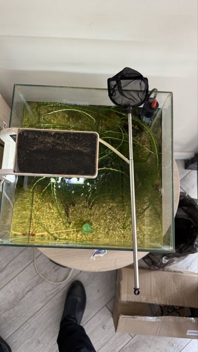 Аквариум для мелких рыб