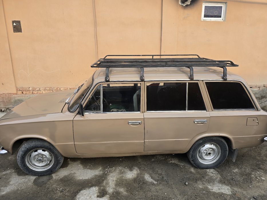 02 koʻmbi volatile yaxwi