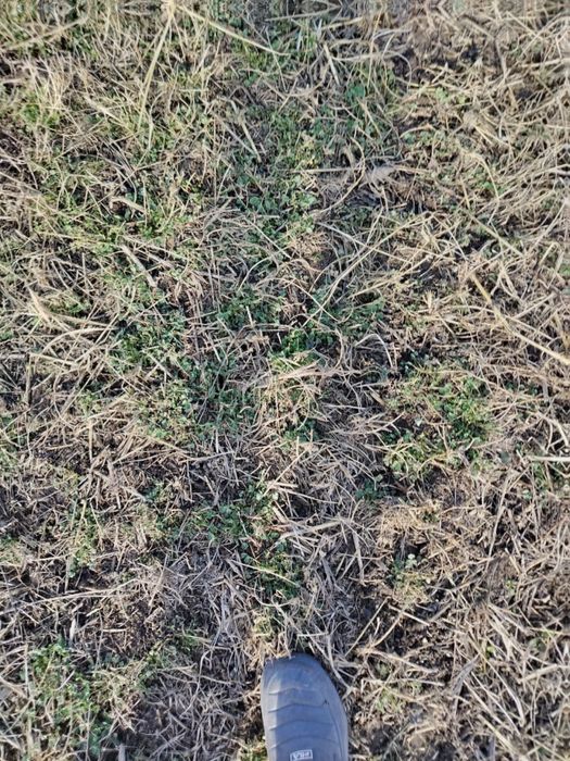 Продам землю К/Х