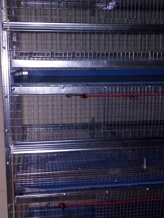 Продавам четириетажна  оборудвана професионална клетка за пъдпъдъци