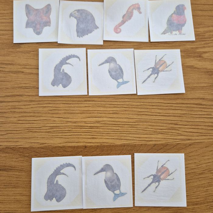 Cartonase Expediție în jurul lumii 2