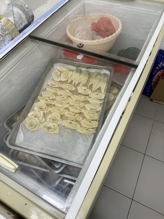 Морозильник морозильники для мясо