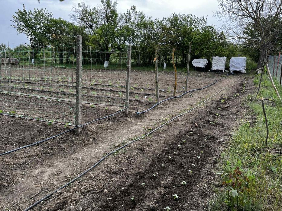 Продава се Парцел в с. Одринци, Област Добрич - 1240 кв.м за 9 €/кв.м - Снимка #6