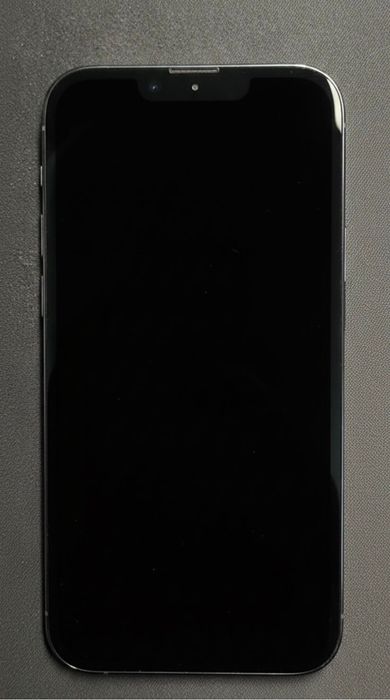 iPhone 13 pro (100% акб)