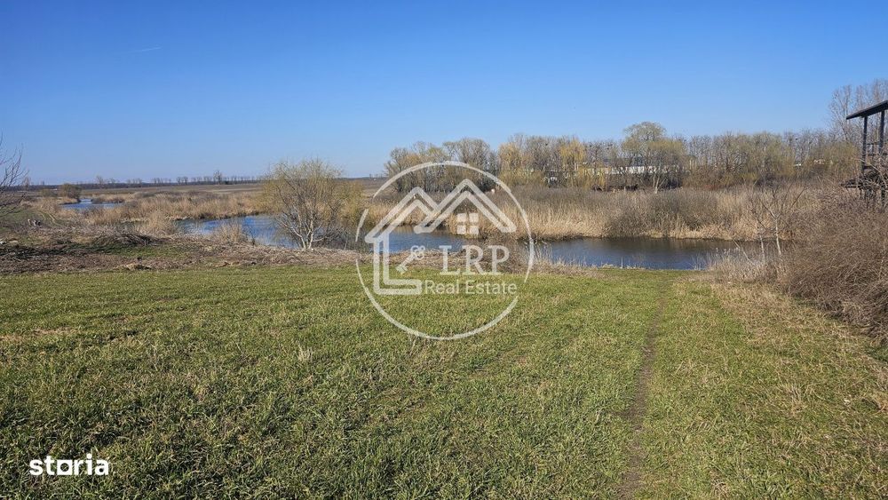 Loturi de Casa pe malul Lacului Creata, Dascalu – 460 mp + Drum serv