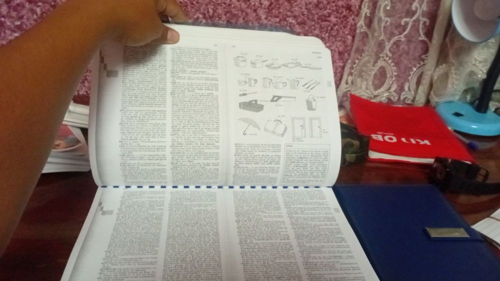 Langenscheidt Nemis tili