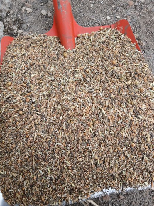 Ячмень,Пшеница,Корма