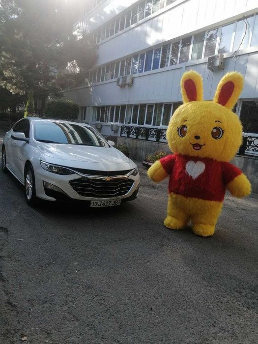 Фото и видео Шар ДЕКОРАТСИЯлари ва Мишкалар
