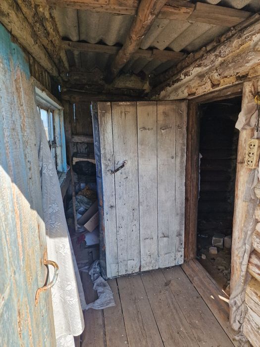 Ассалаумагалейкум