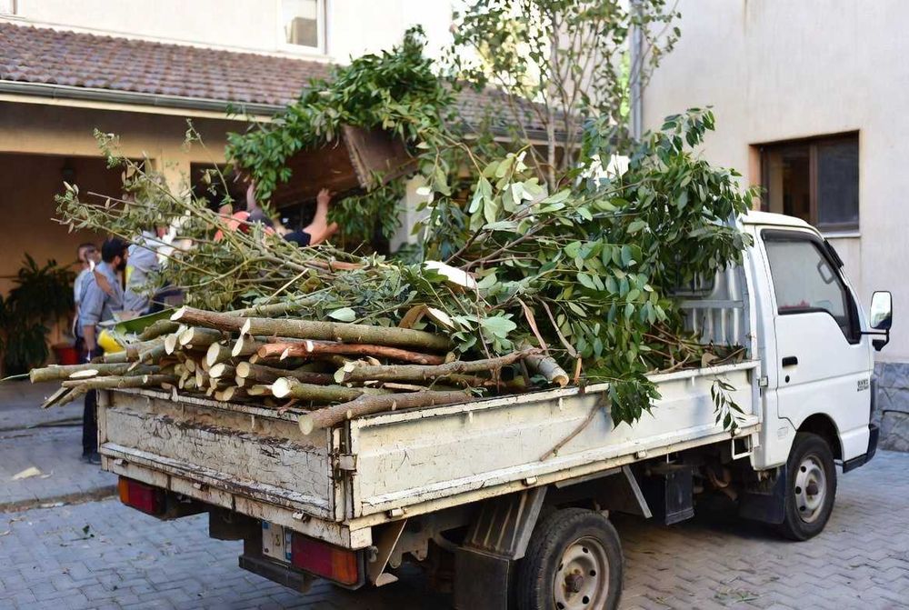 Transport moloz/moluz, debarasări, mutări și curățenie curți/grădini/șantiere - Rapid si Ieftin