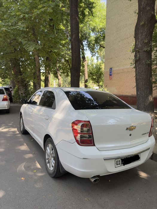 2022 avtamat kobalt
