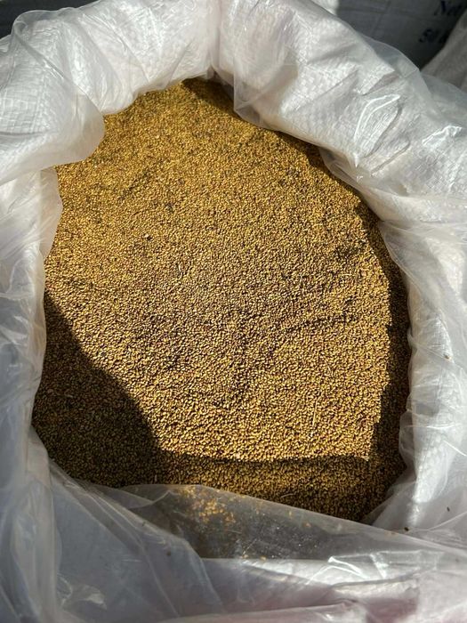 люцерново семе 2025