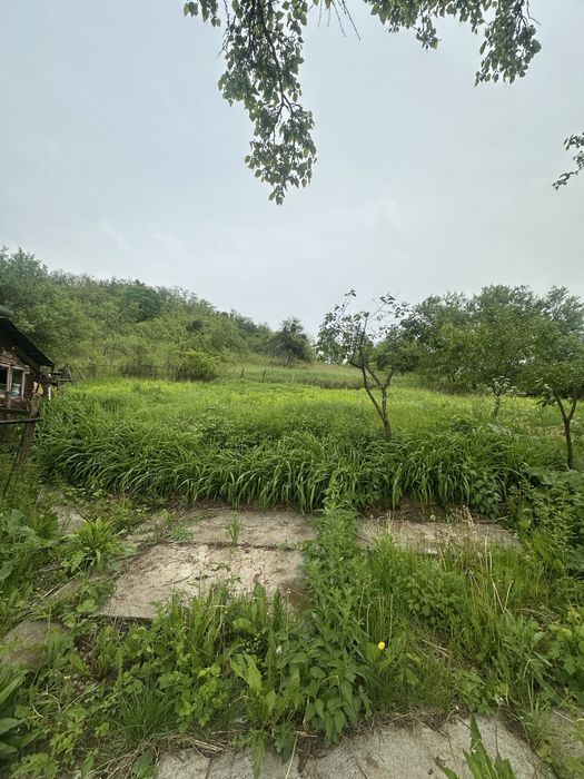 Casa, anexa si teren intravilan