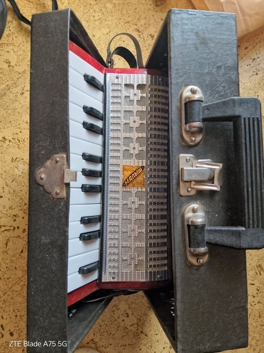 Детски акордеон 4+