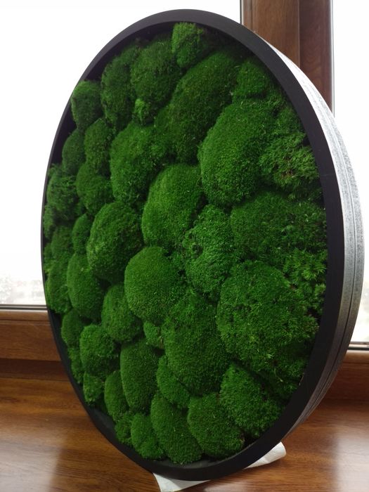 Tablou Rotund din muschi 45 cm