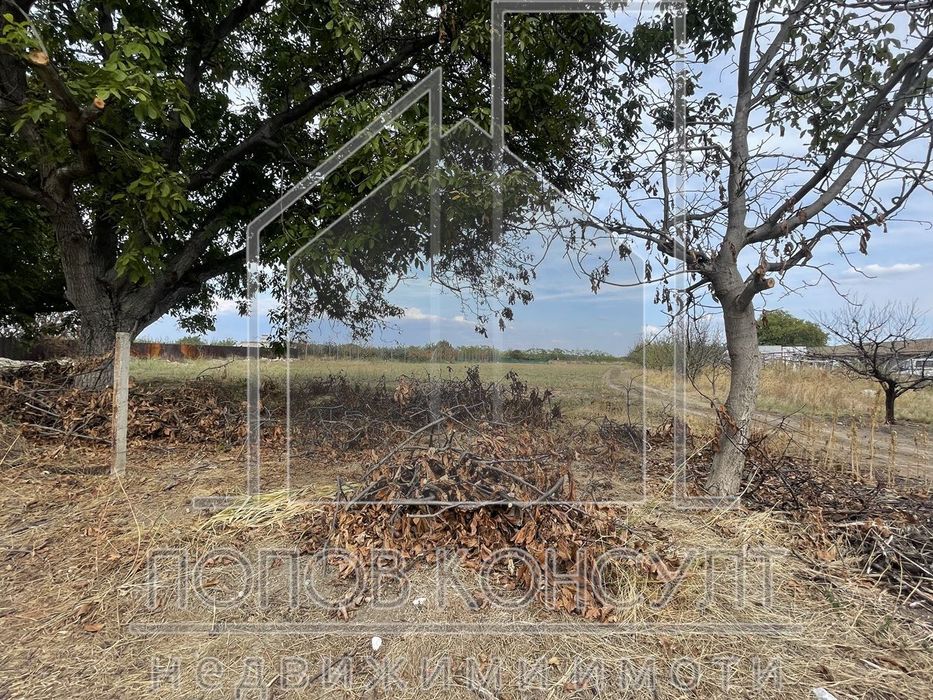 Продава се Парцел в с. Крумово, Област Пловдив - 3702 кв.м за 40 €/кв.м - Снимка #1