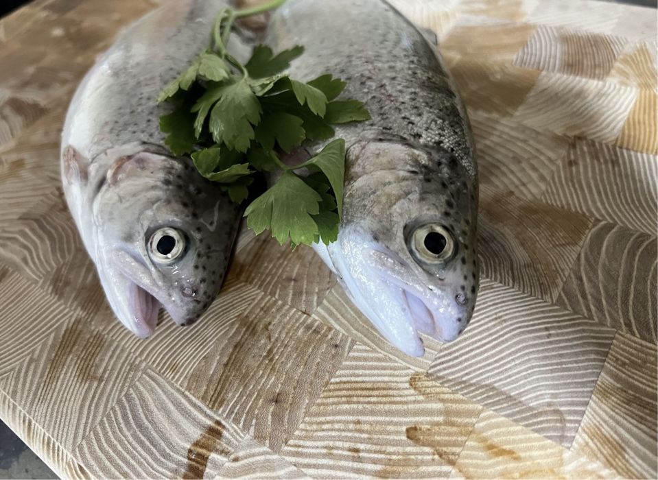 Живая Форель Алматы