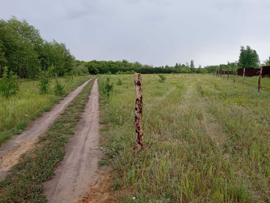 участок в с. Прибрежное