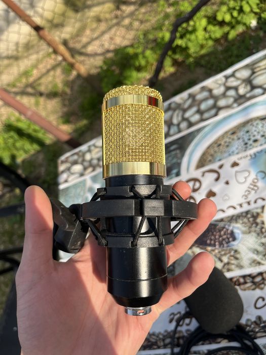 Microfon cu mufa xlr