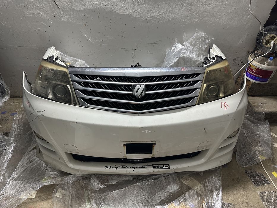 Альфард ноускат.