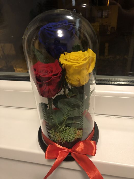 Cupole cu trandafiri criogenati conservati
