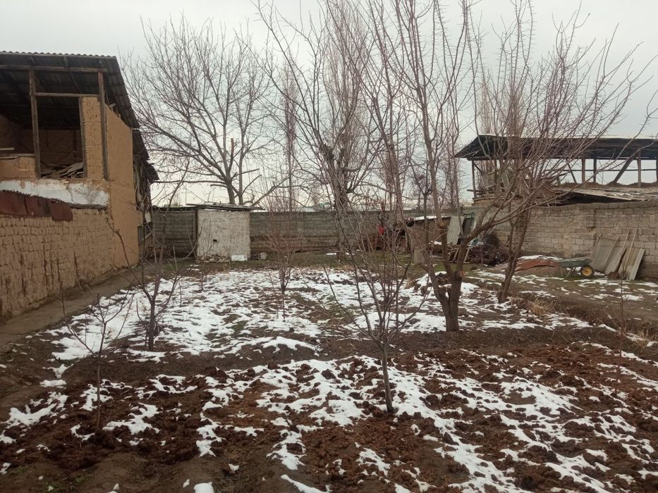 Срочно сотилади 3 сотых