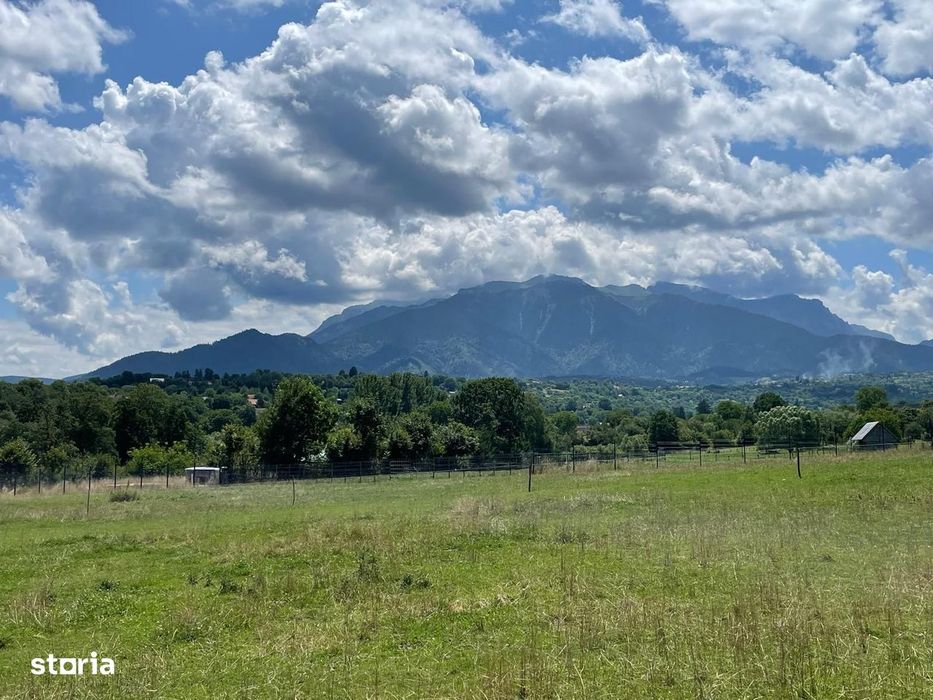 INVESTIȚIE | Teren 5000 mp PUZ APROBAT intravilan - zona Sohodol -Bran
