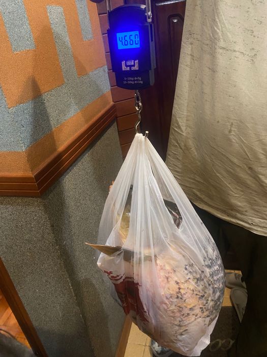 Рыбалка, проточная вода. Огромные пруды