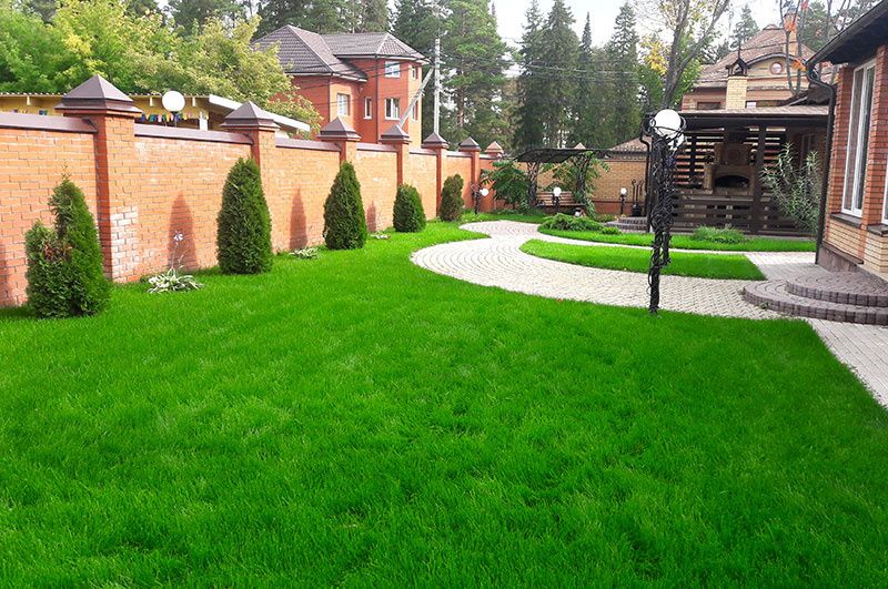 Tayyor Gazonlar bor 35000 sum kvadrati