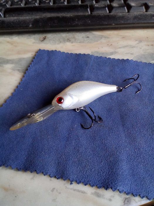 Примамка за хищни риби