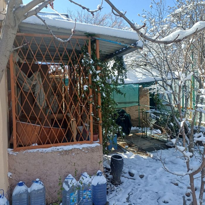 Дала ховли  Сотилади 21000 $