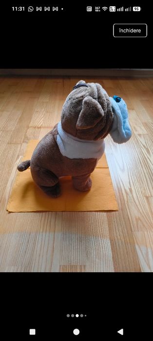 Caine din plus( buldog)