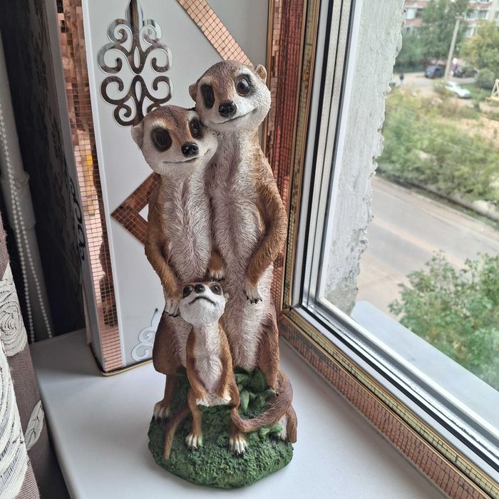 медузы.коньки.осьминоги