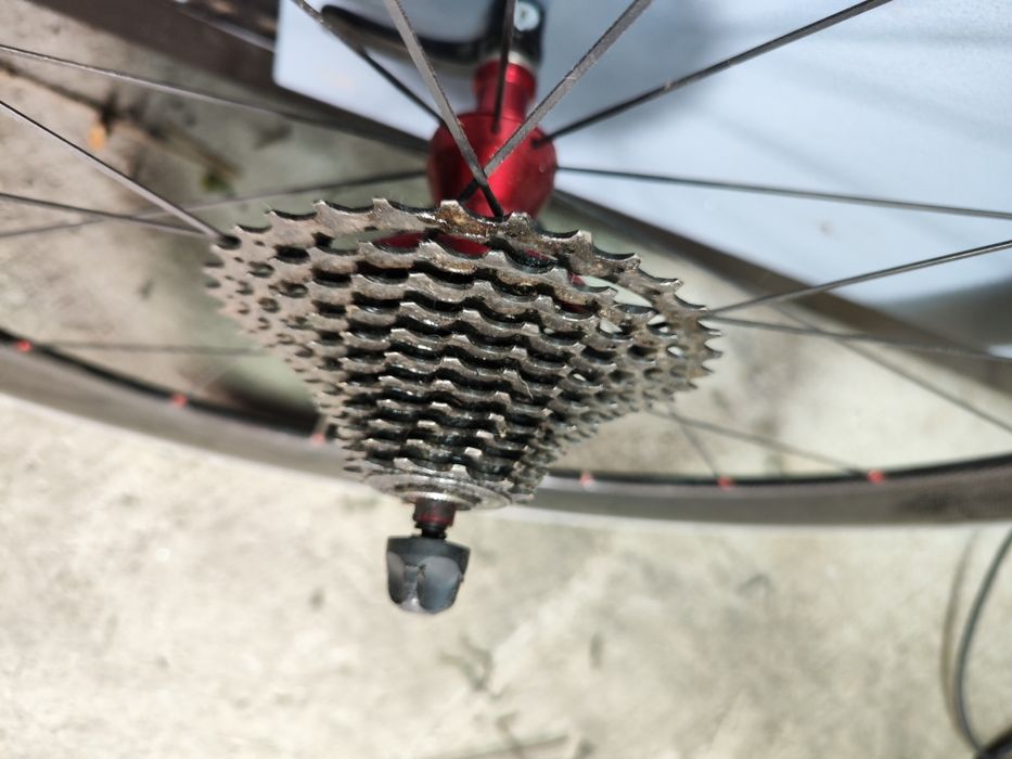 Roata cursiera class